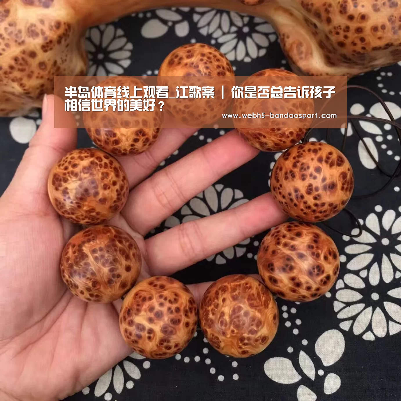 半岛体育线上观看_江歌案 | 你是否总告诉孩子相信世界的美好?(图3) 半岛体育线上观看